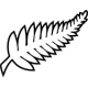 Nya Zeeland VM 2026 Barn